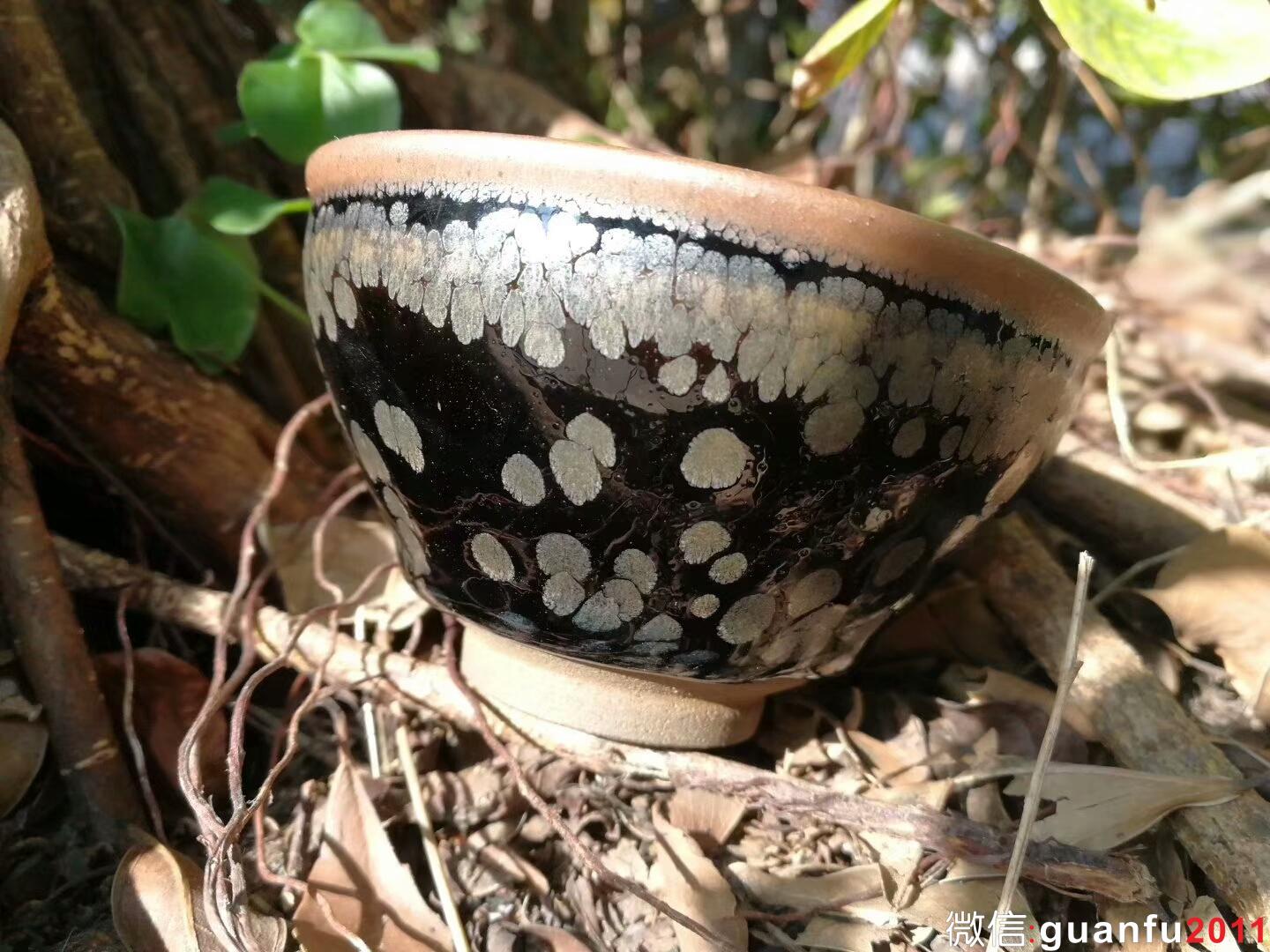 mmexport1516687137183