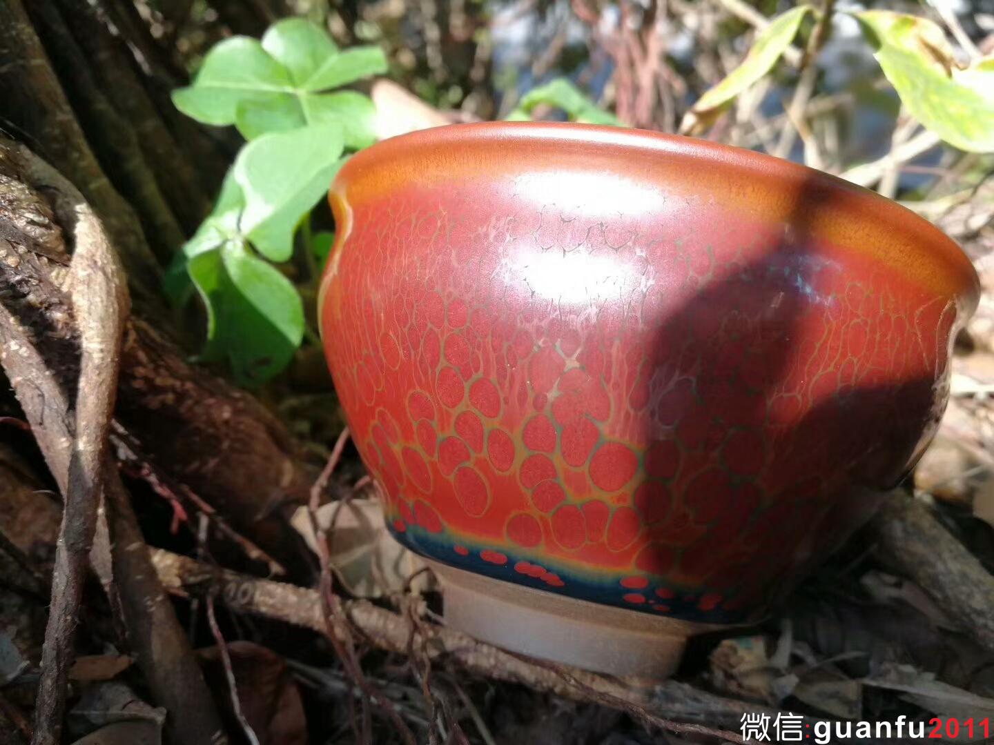 mmexport1516687217546