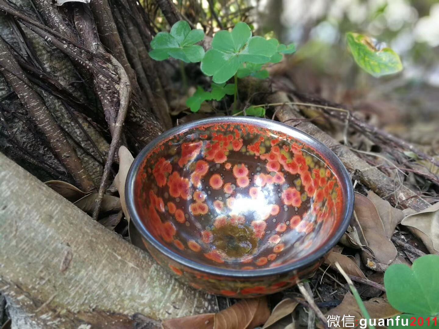 mmexport1516687981403