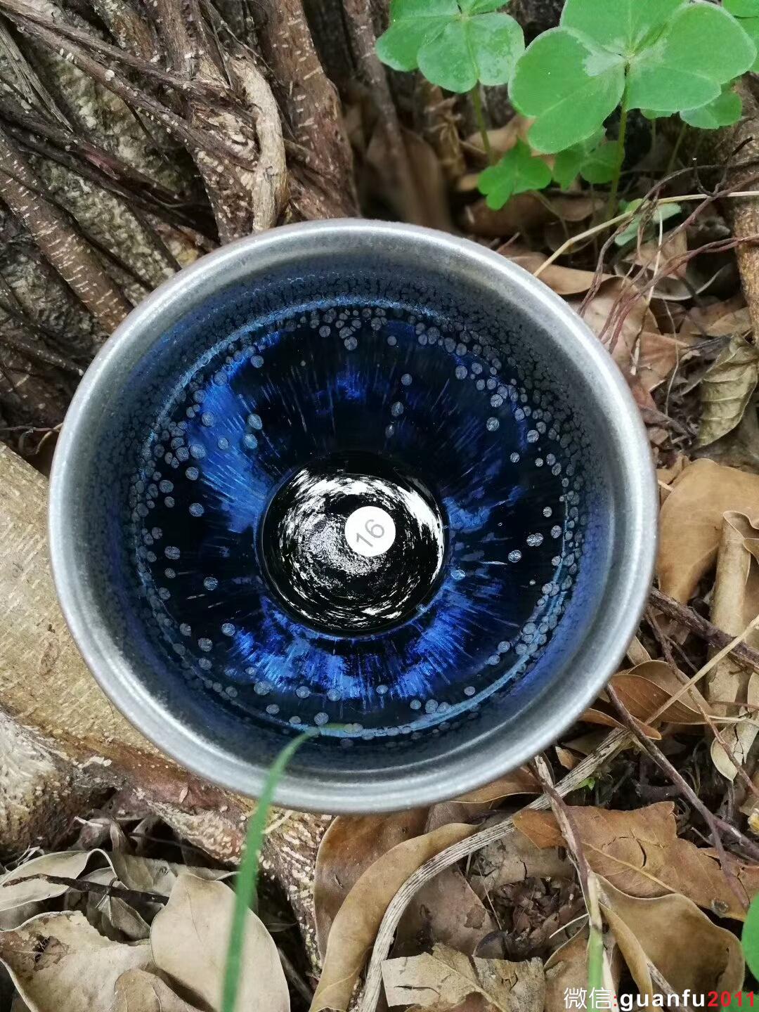 mmexport1516688551119