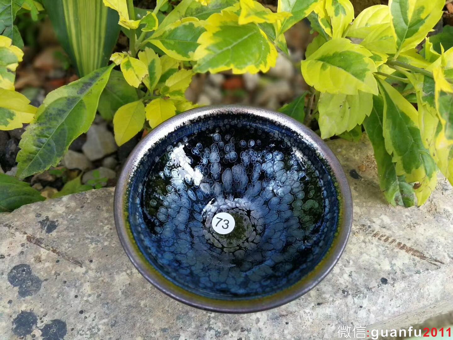 mmexport1516689847342