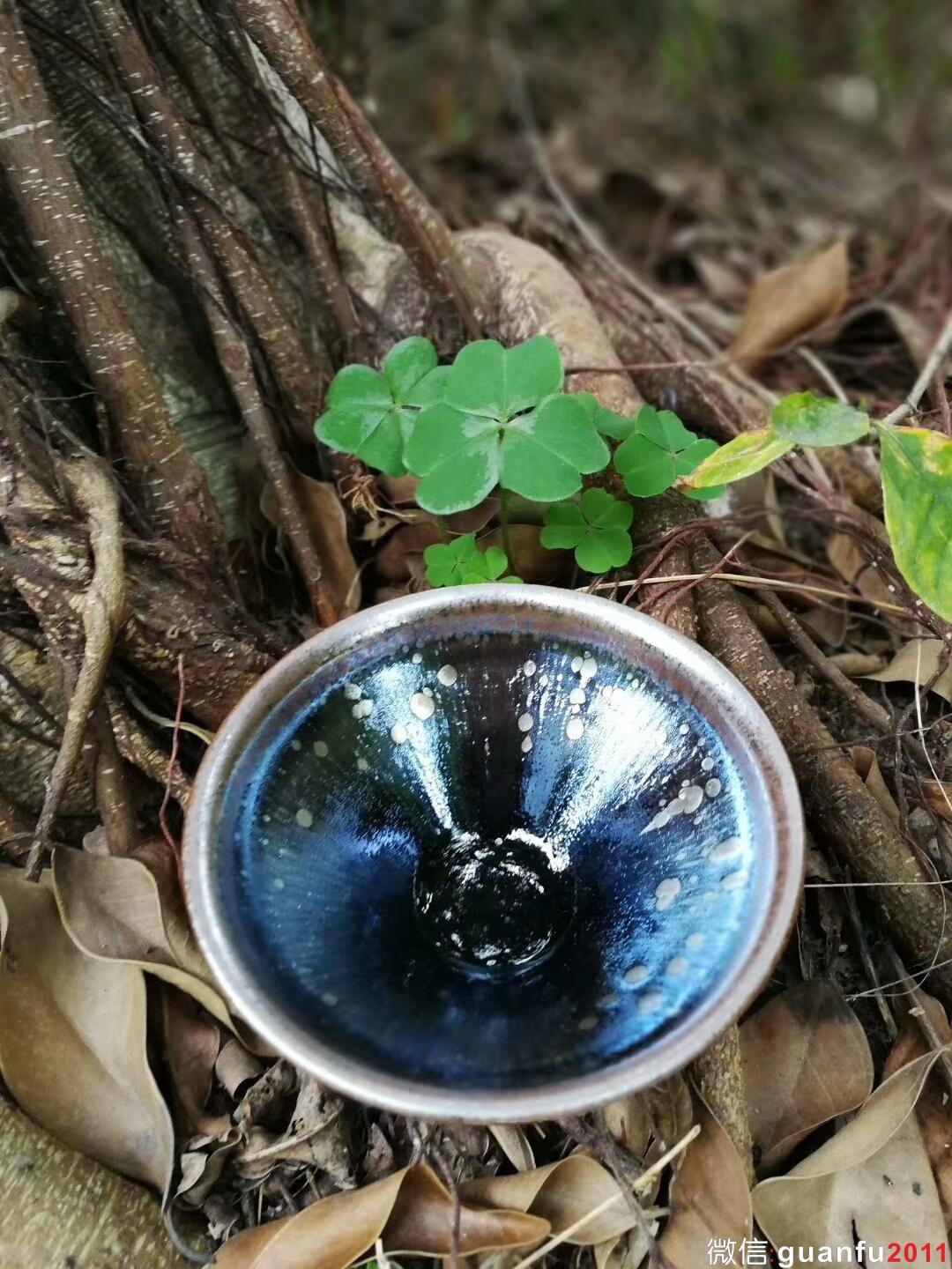 mmexport1516691662375