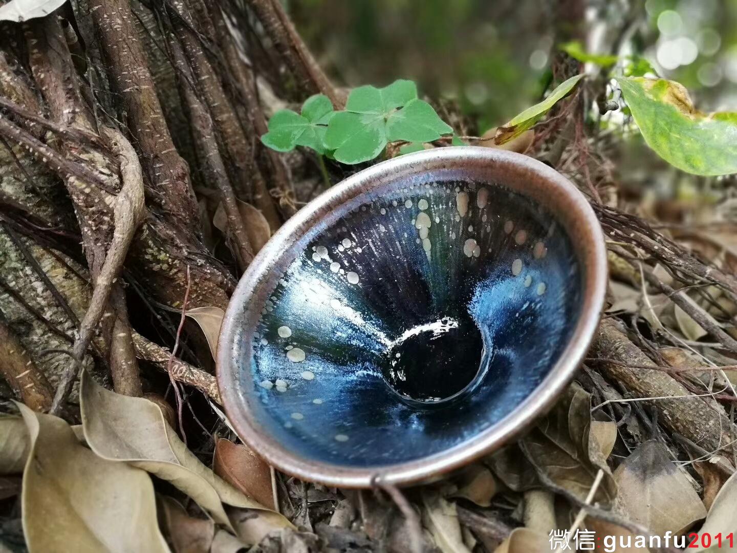 mmexport1516691664662