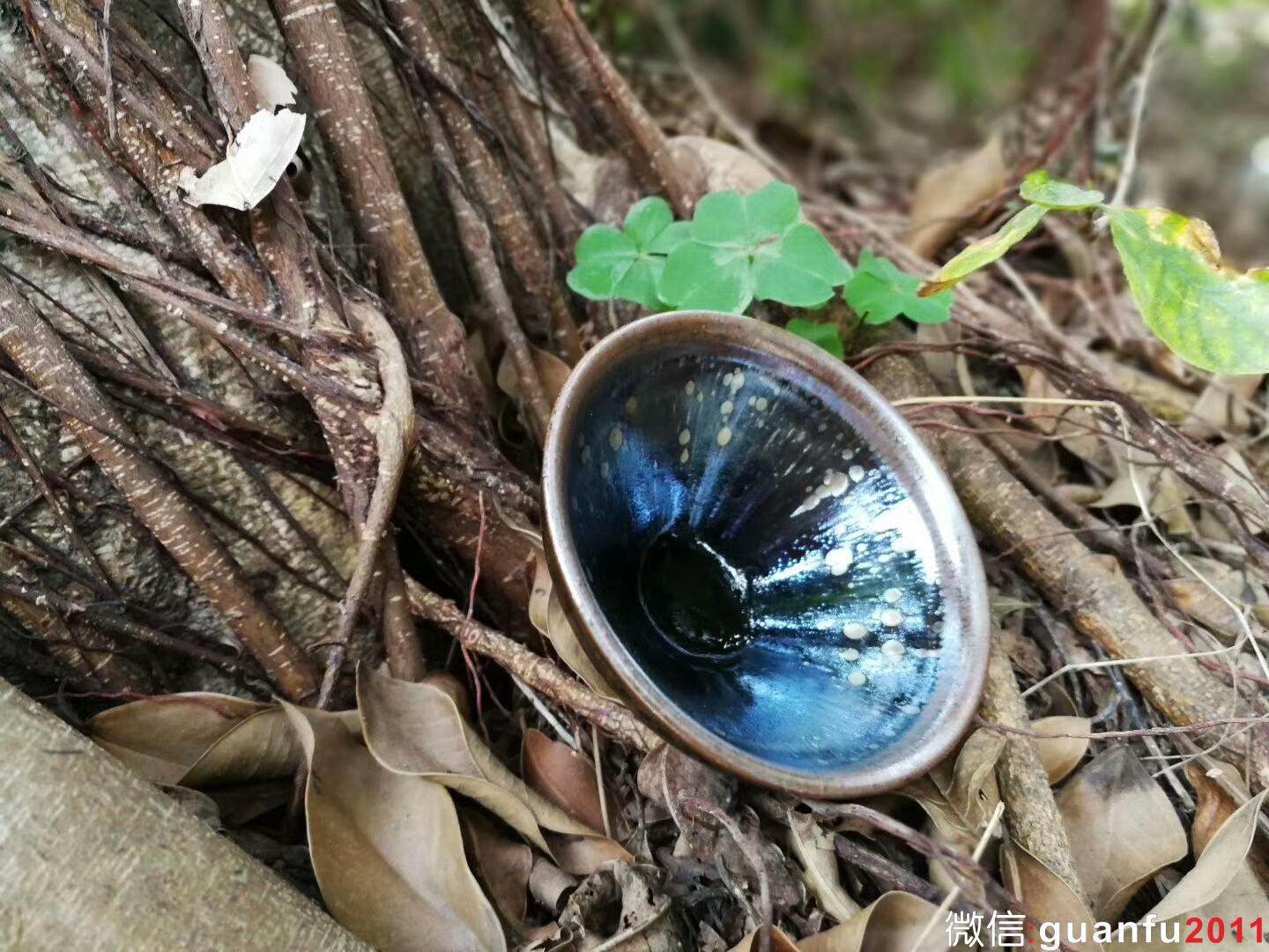 mmexport1516691666663