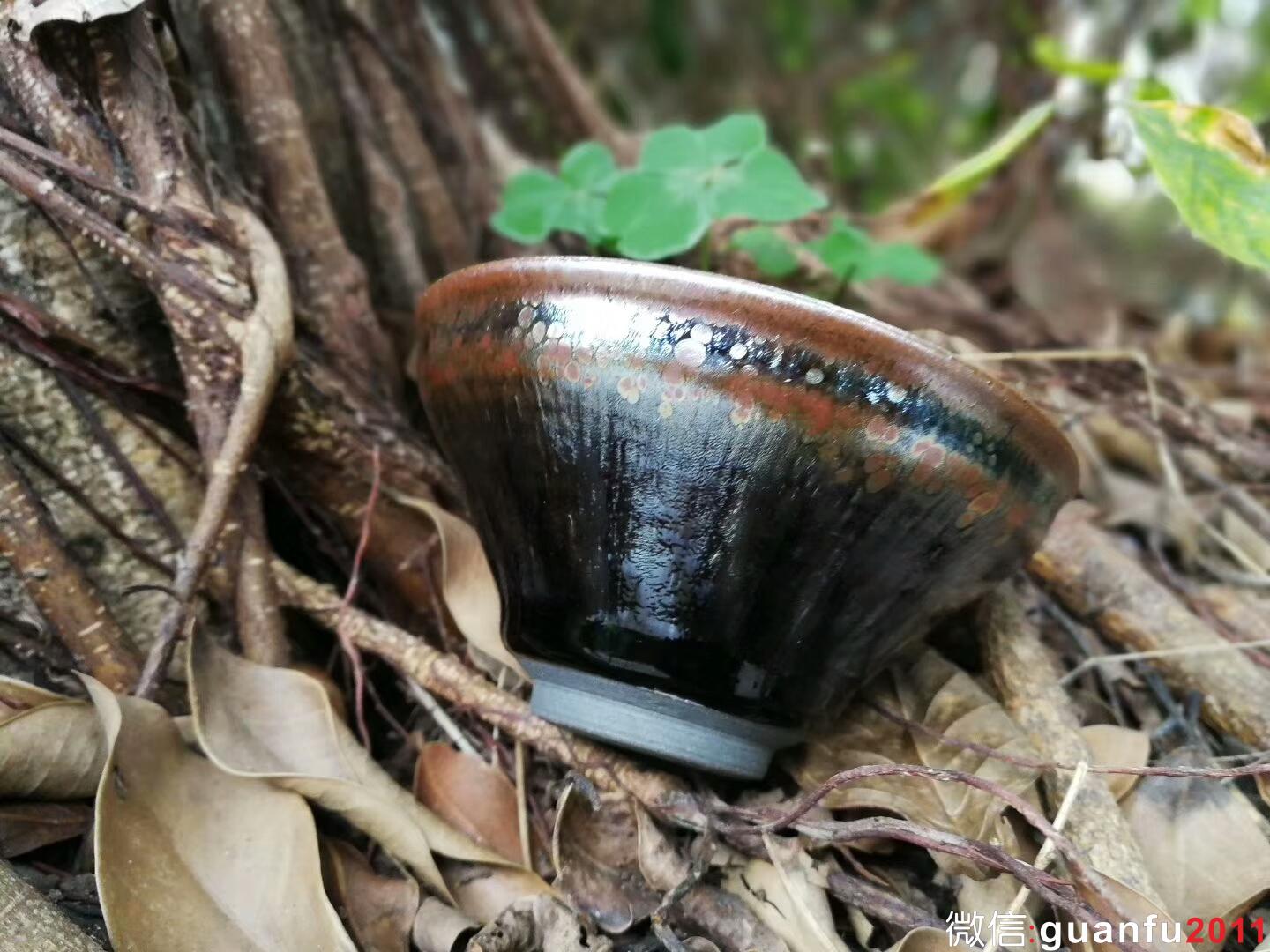 mmexport1516691669023