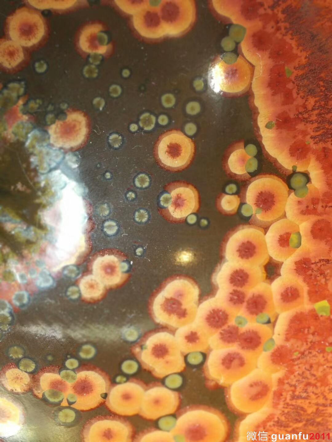 省級大師蔡炳盛“火鳳凰”：口徑9*5.5