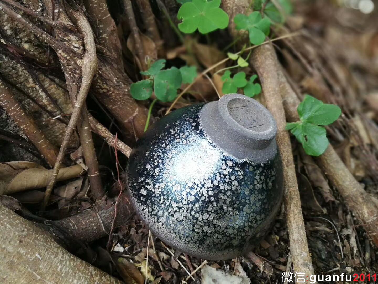 廖銘 觀星：口徑9*6