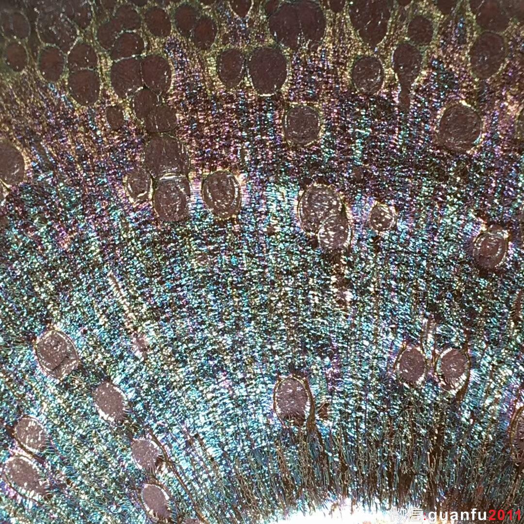 mmexport1518518042493