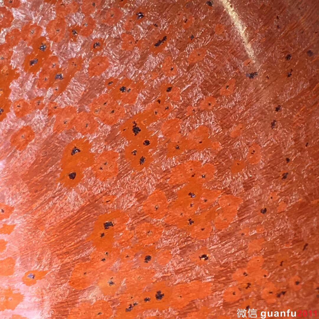 mmexport1518520025032