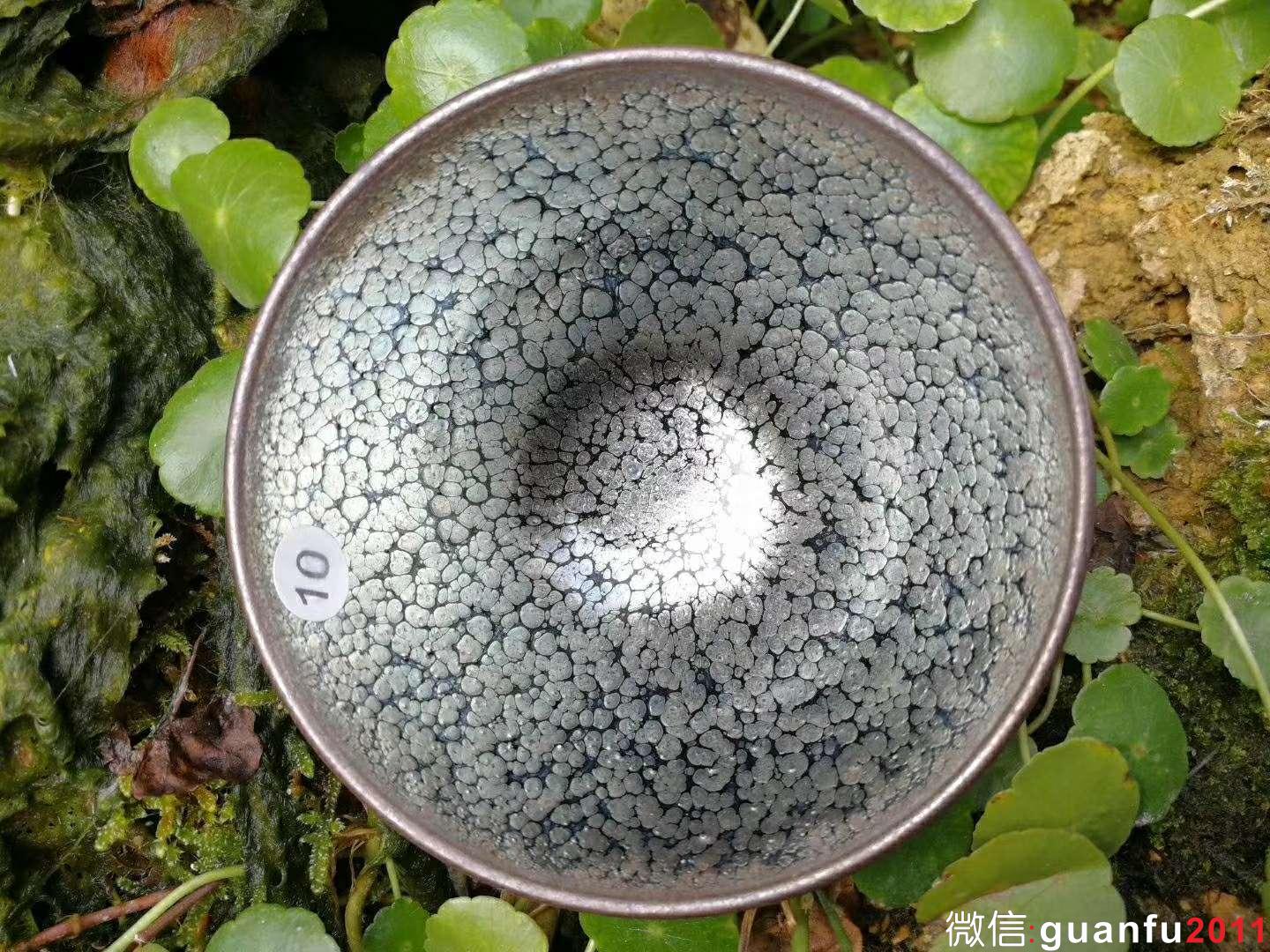 劉學(xué)財(cái)“滿天星”：口徑8.5*5