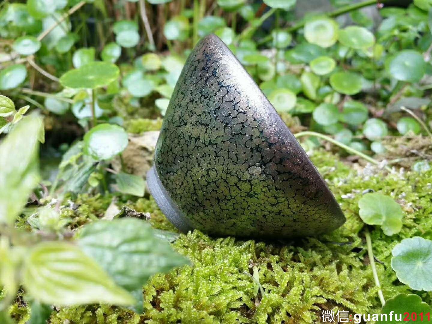 劉學(xué)財(cái)“滿天星”：口徑8.5*5