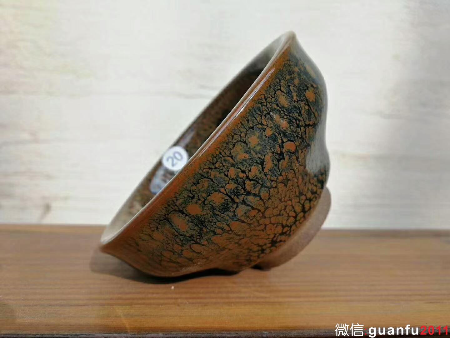 mmexport1518950132344