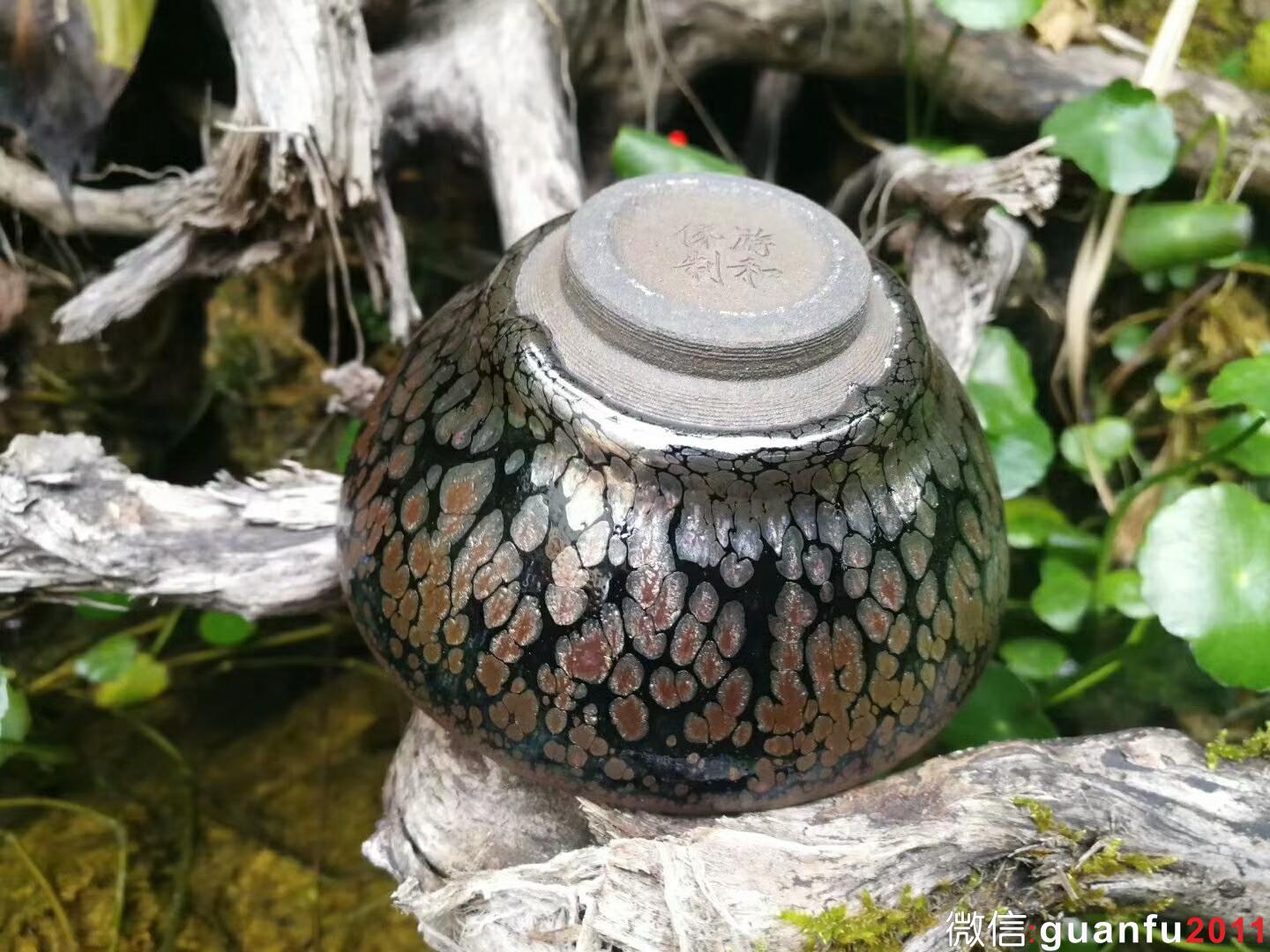 mmexport1518953627928