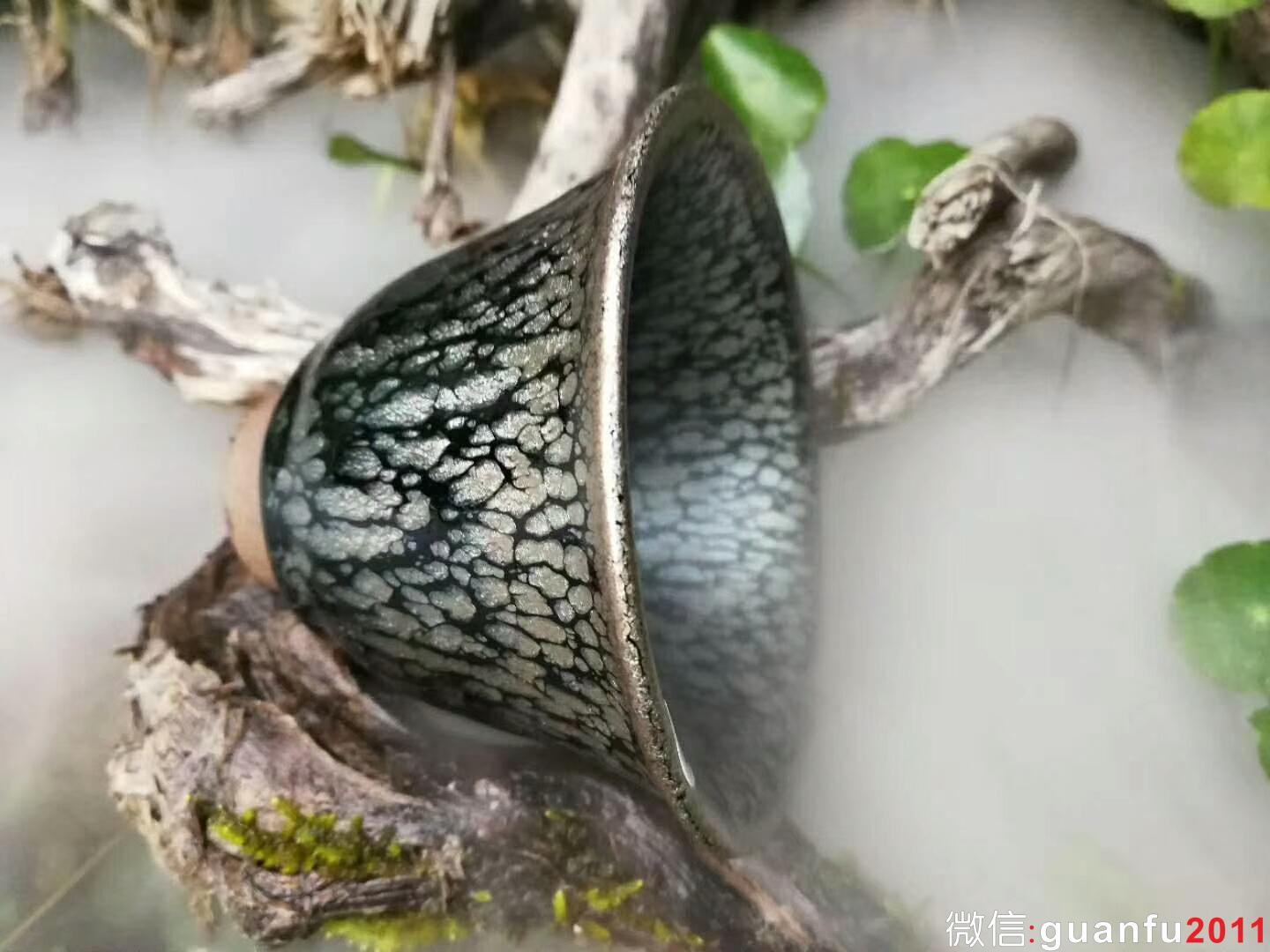 mmexport1518955667537