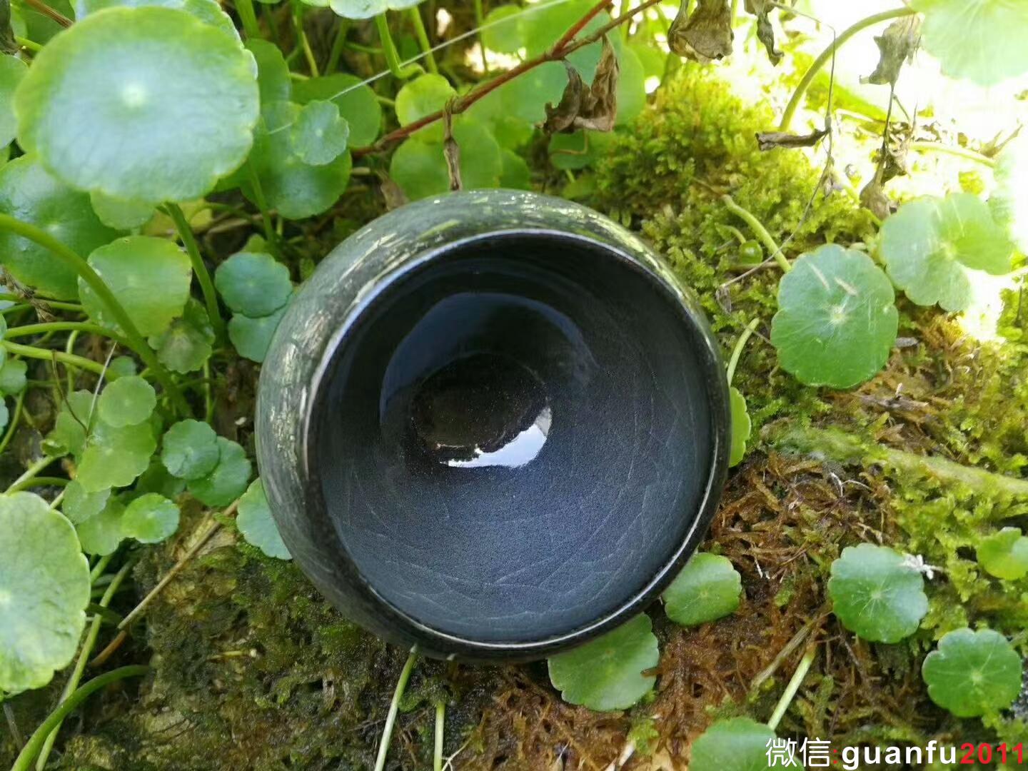 mmexport1518955816747