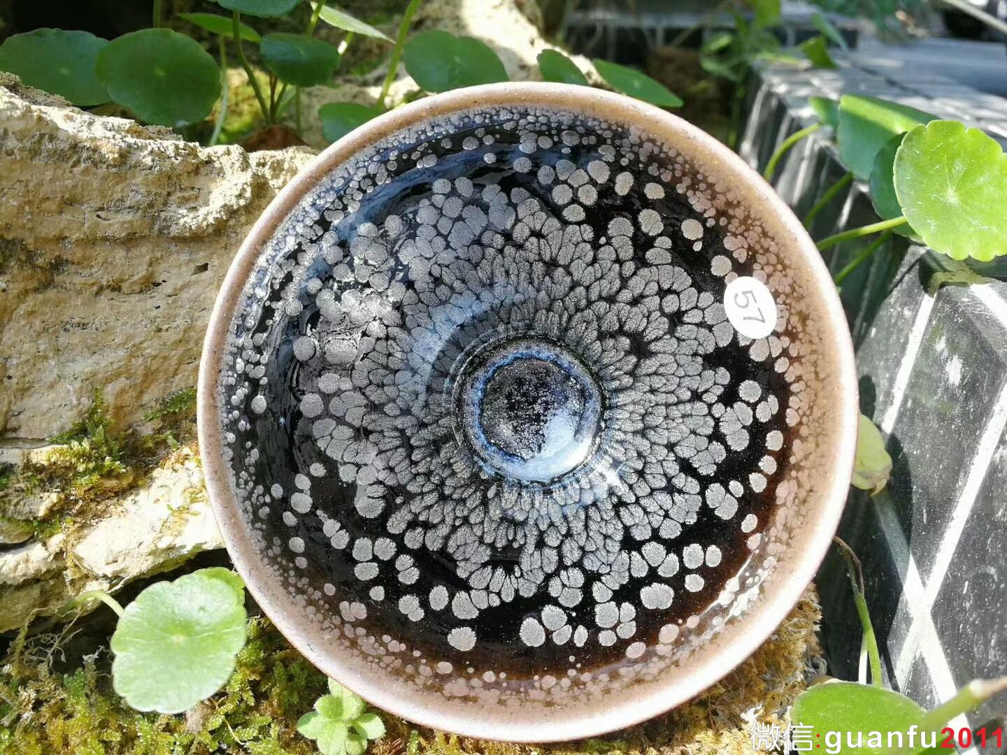 mmexport1518960189796