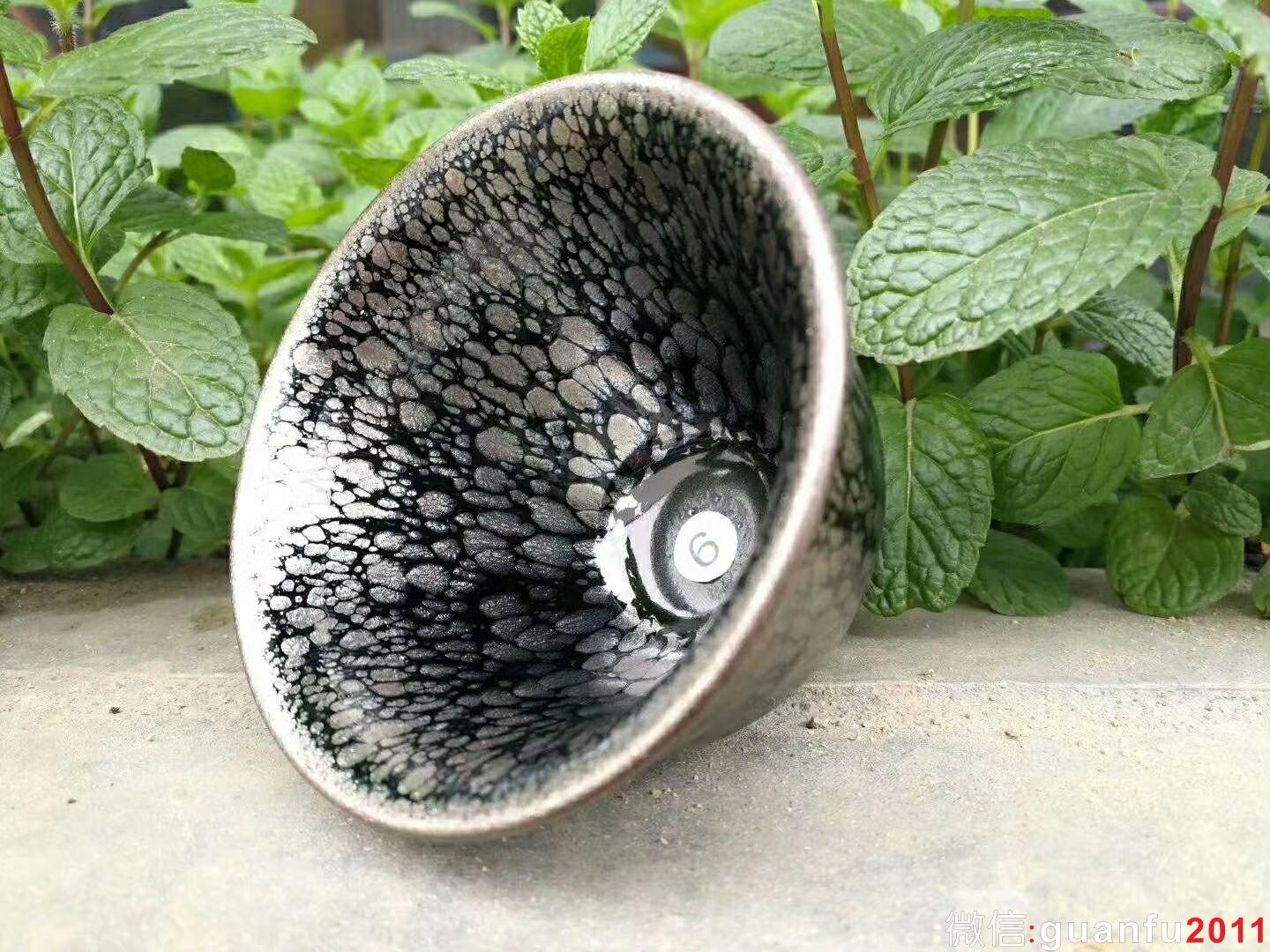 mmexport1519724932404