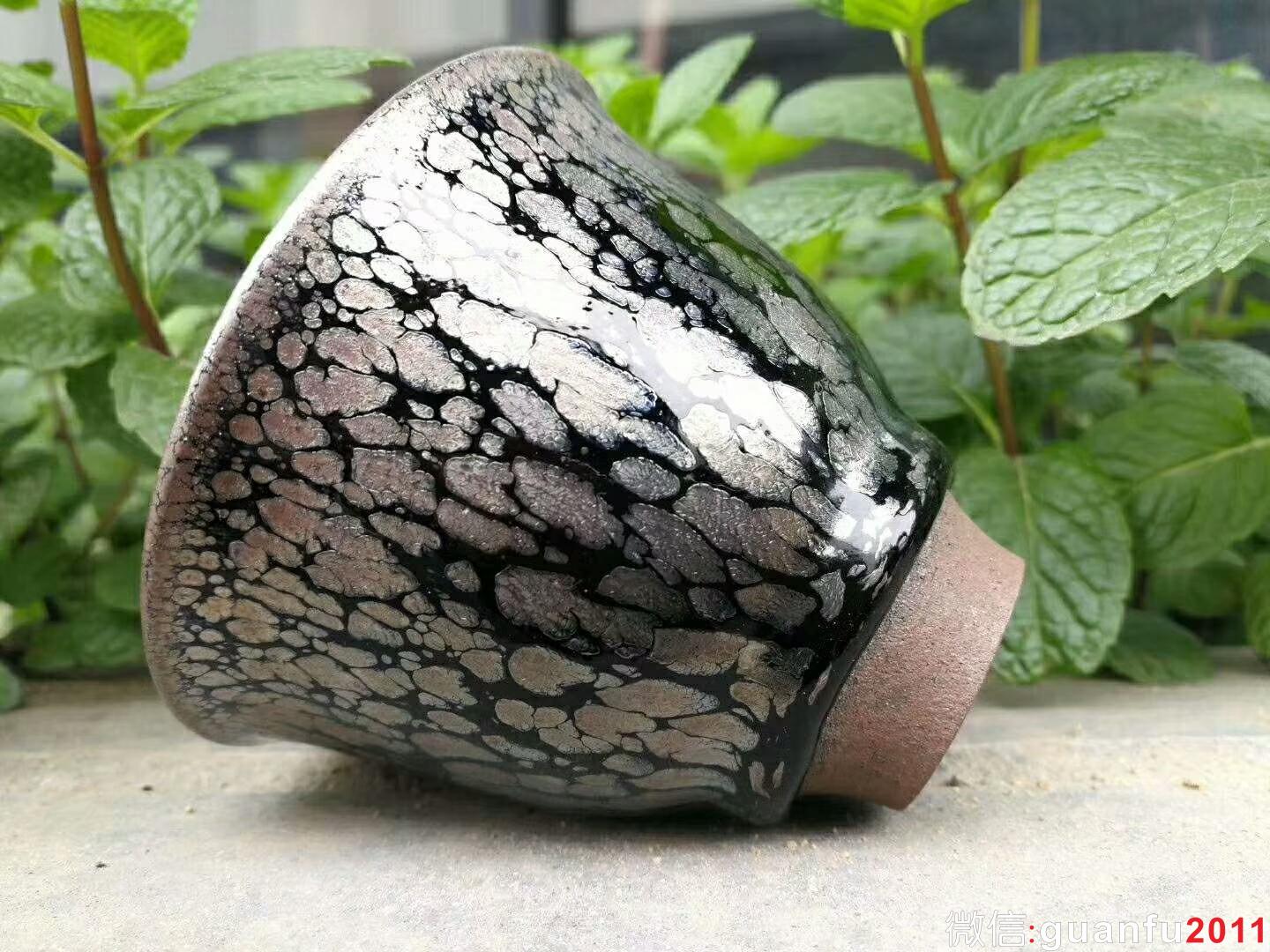 mmexport1519724935468