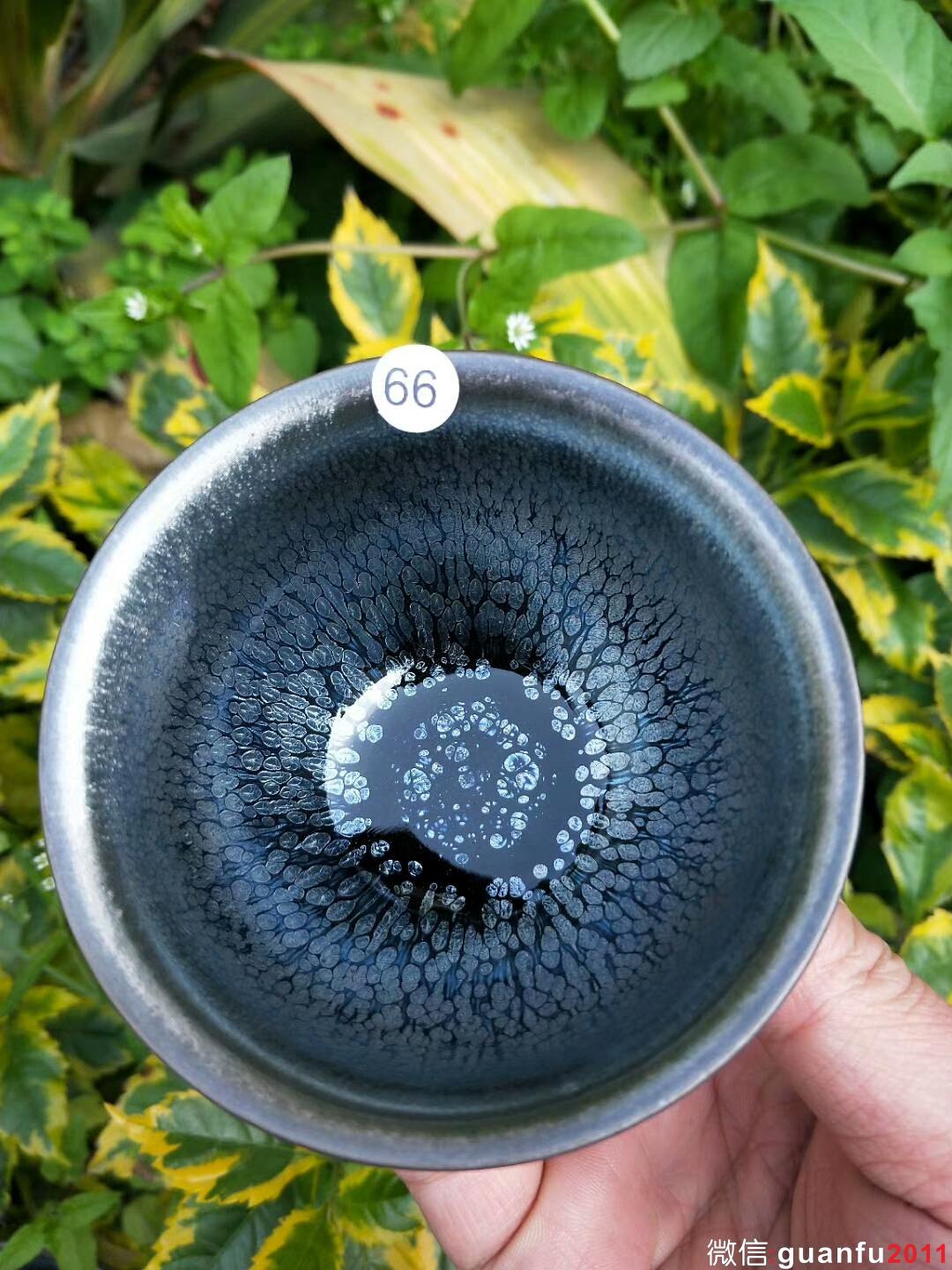 mmexport1519727125813