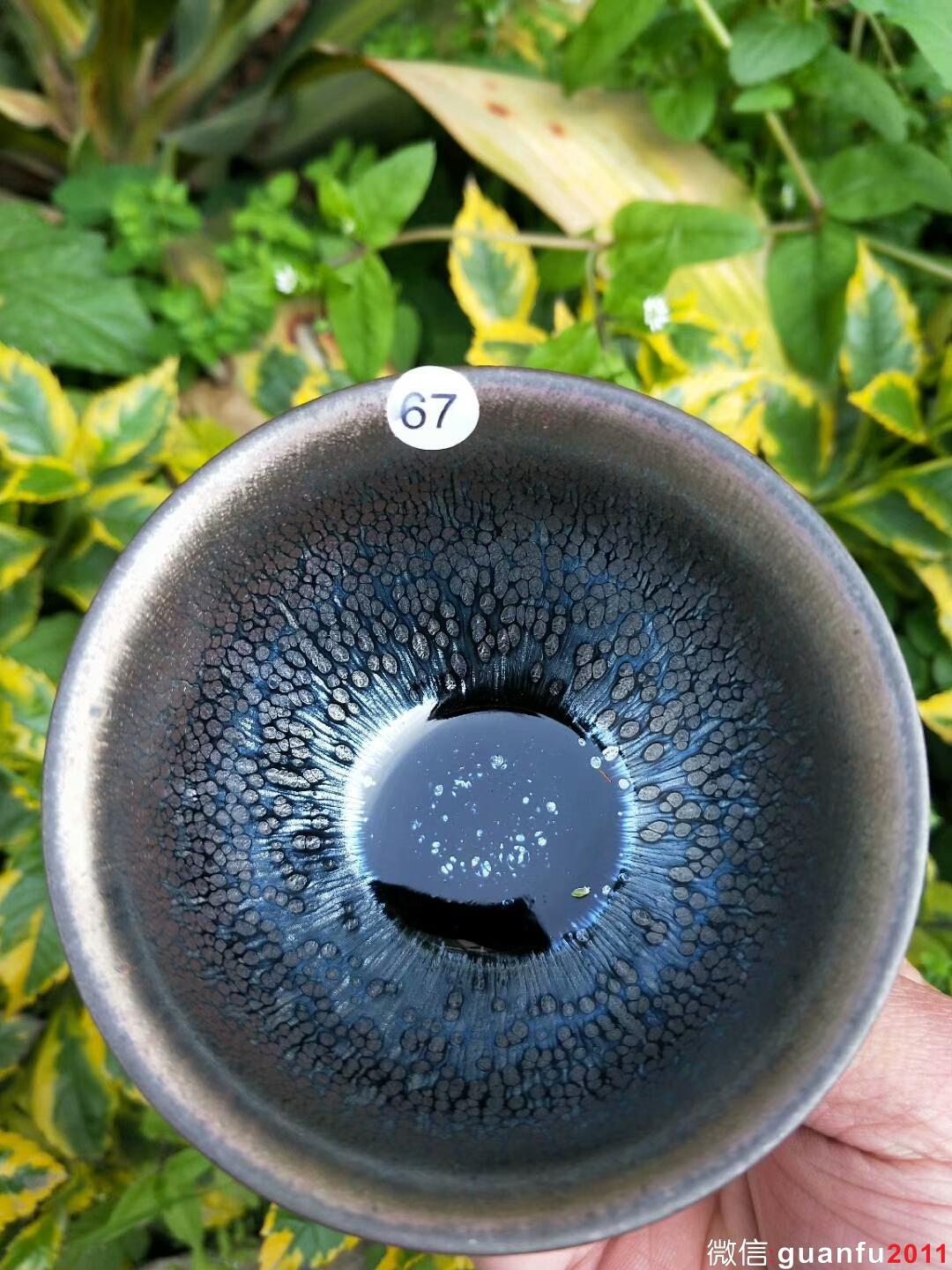 mmexport1519727136284