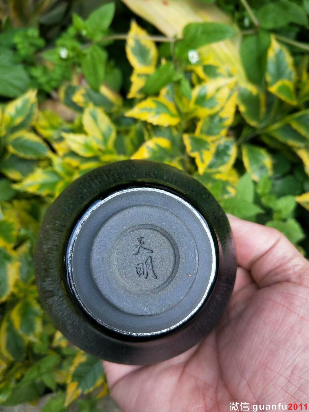 mmexport1519727140910