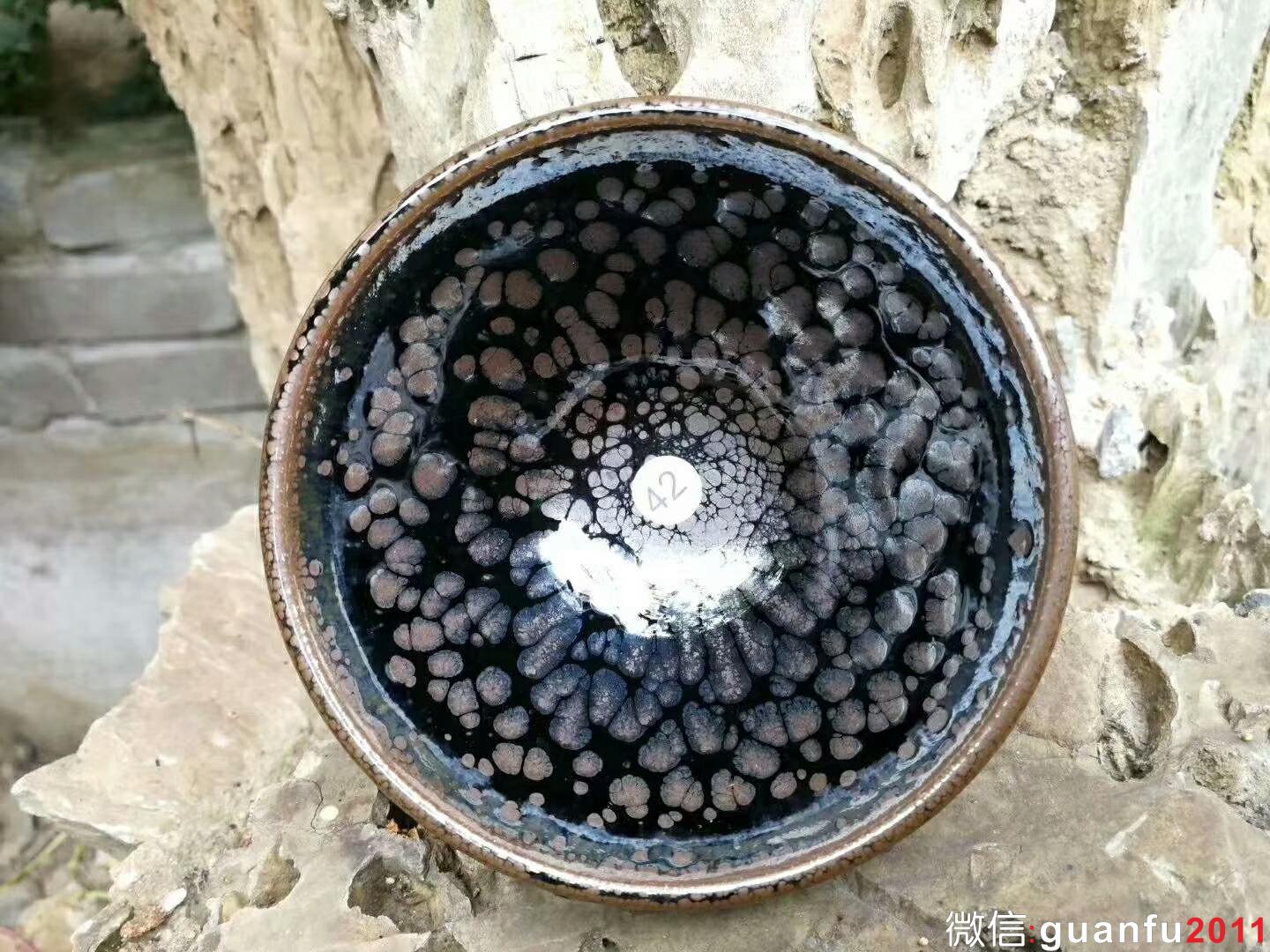 mmexport1519729473896