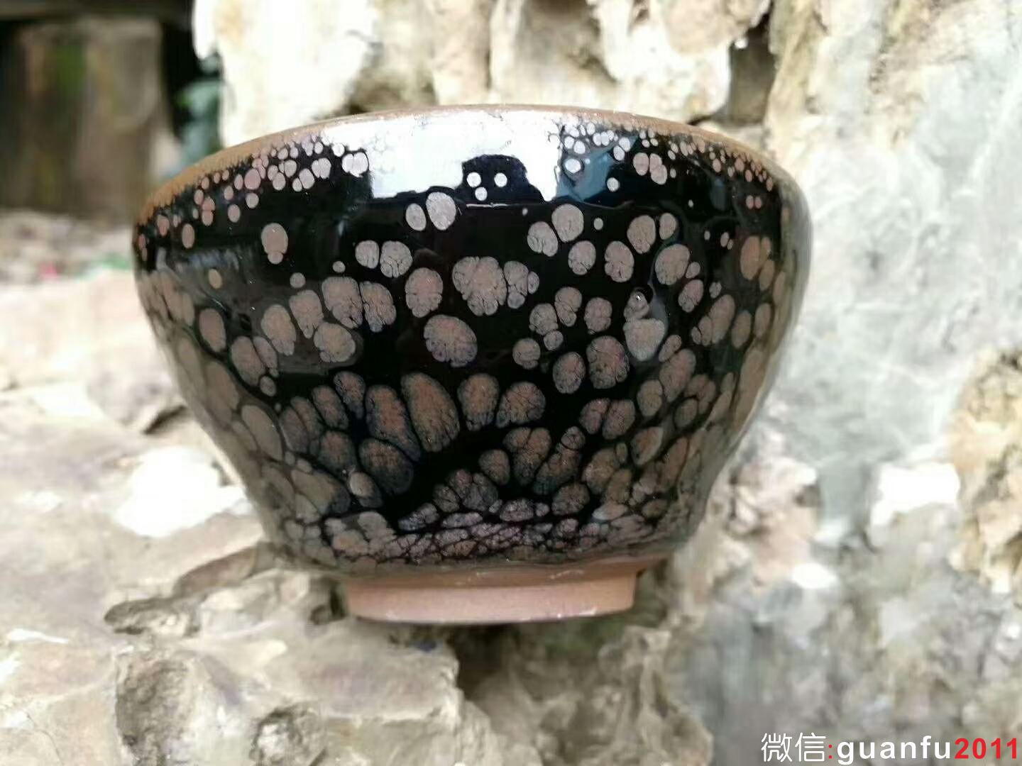 mmexport1519729478849