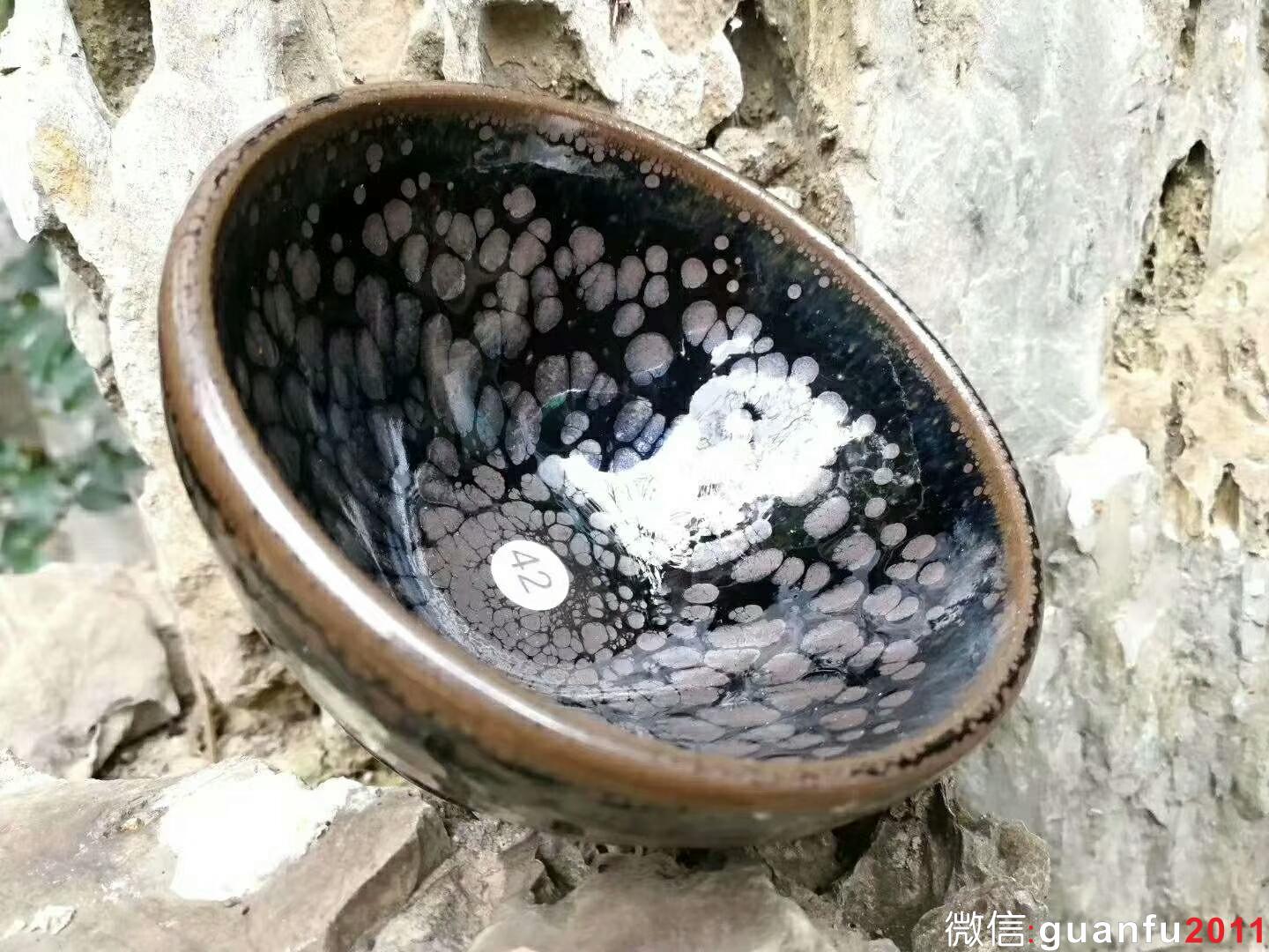 mmexport1519729480700