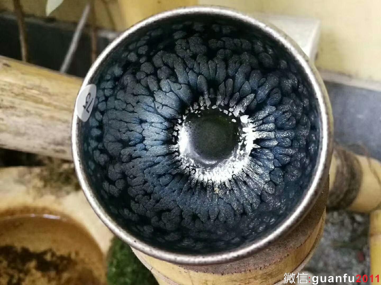 mmexport1519729541835