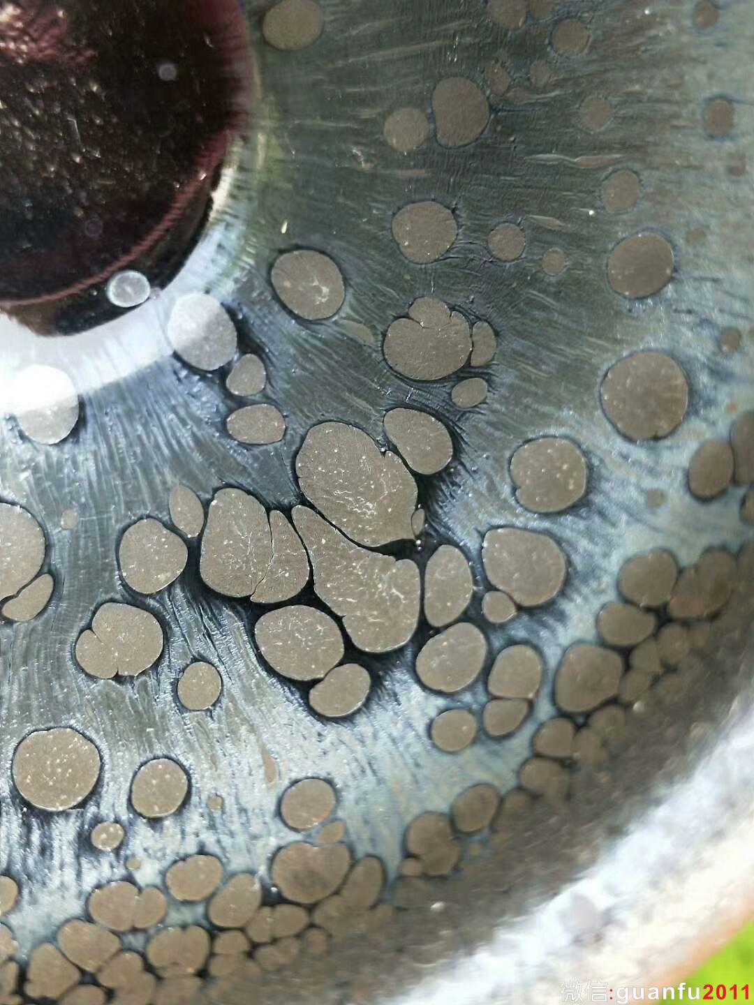 mmexport1520415464231