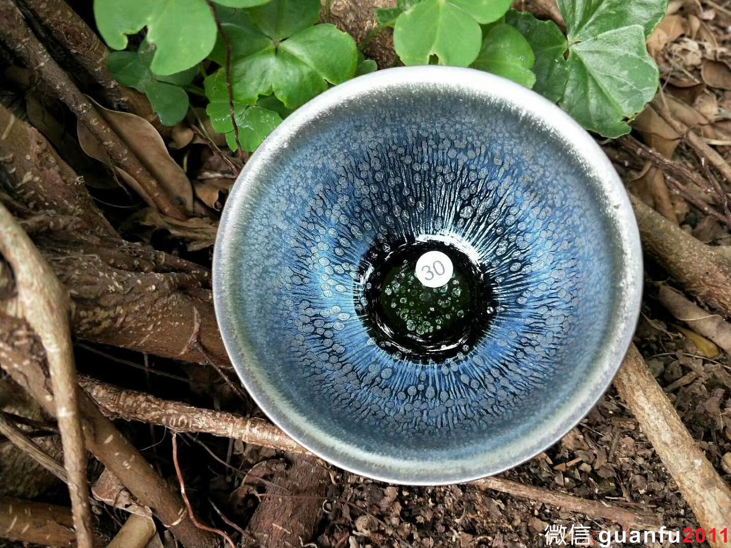 mmexport1520425083296