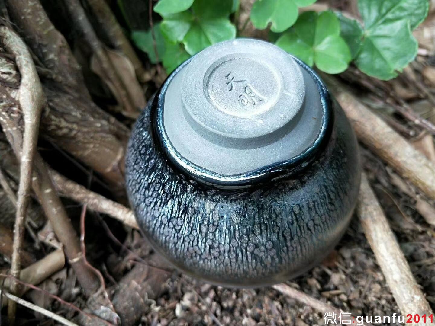 mmexport1520425096826