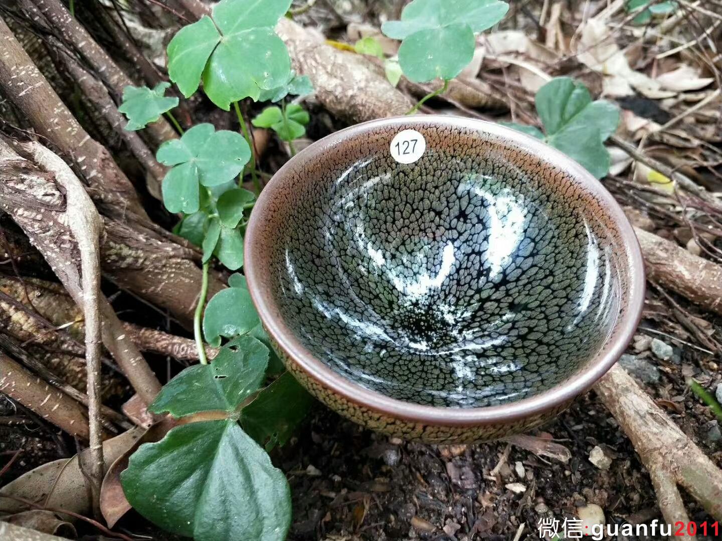 陳慧敏老師 鷓鴣斑：口徑9.3*5.5