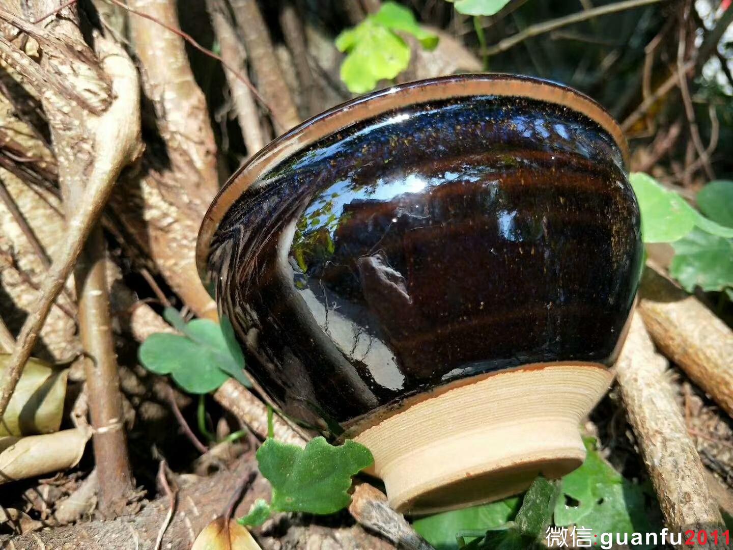 mmexport1522307583387