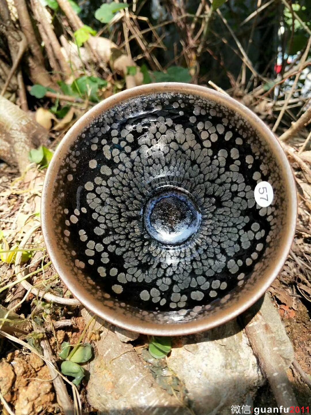 mmexport1522307876371