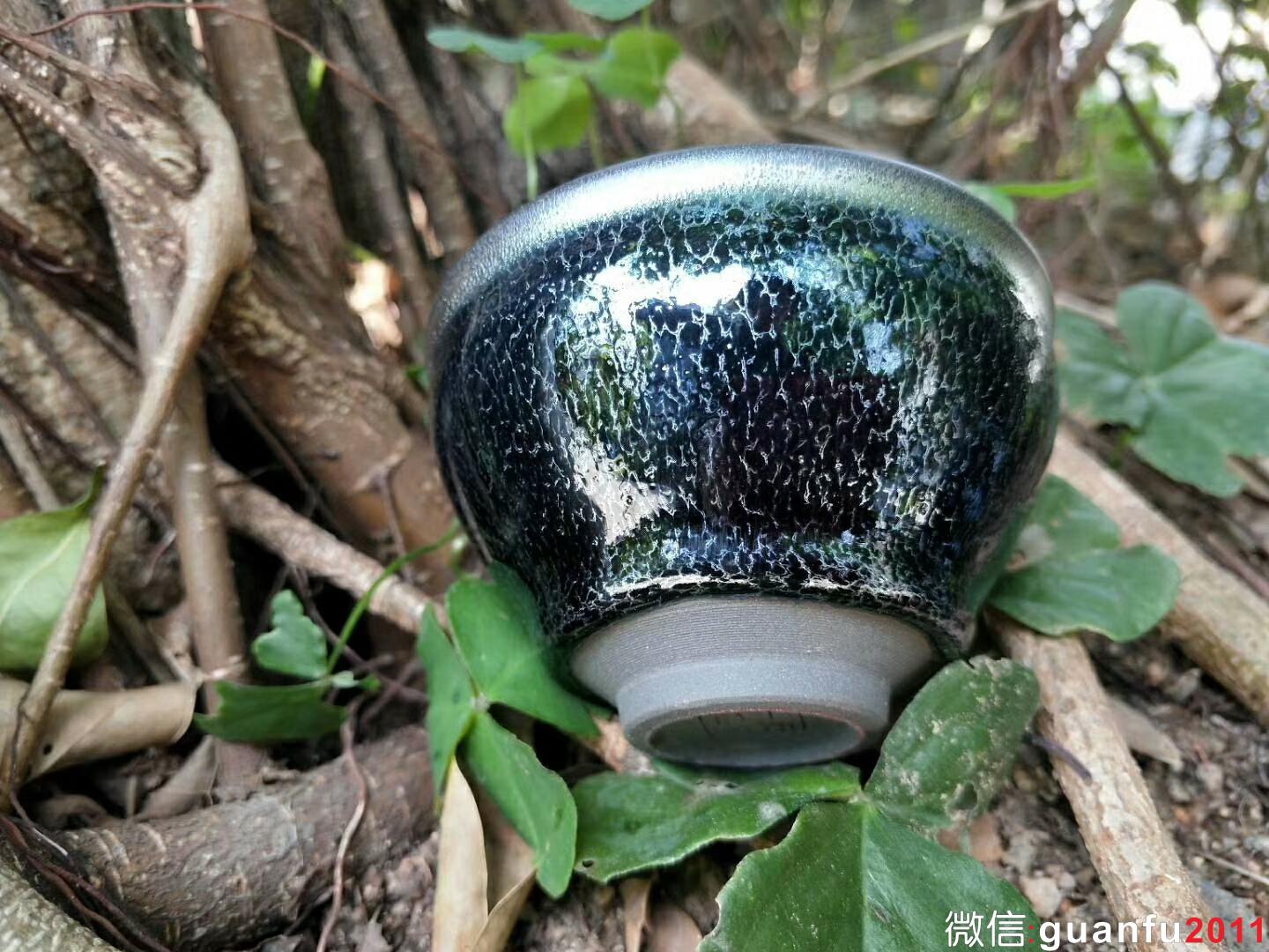 mmexport1522311929541