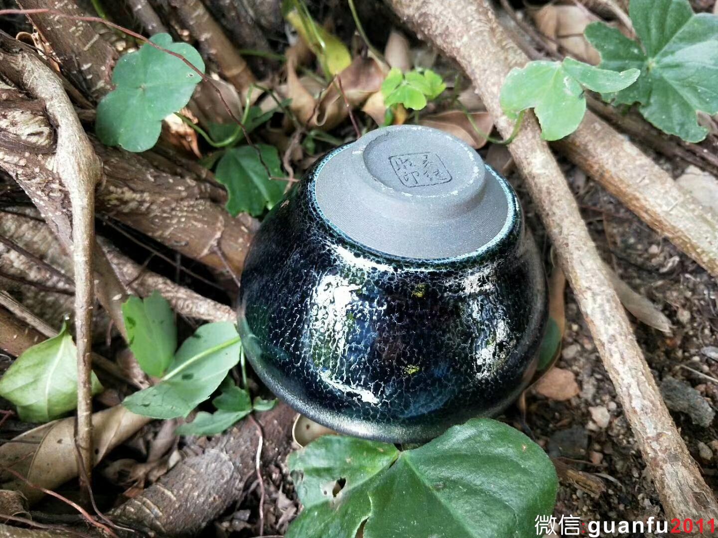 mmexport1522311933840