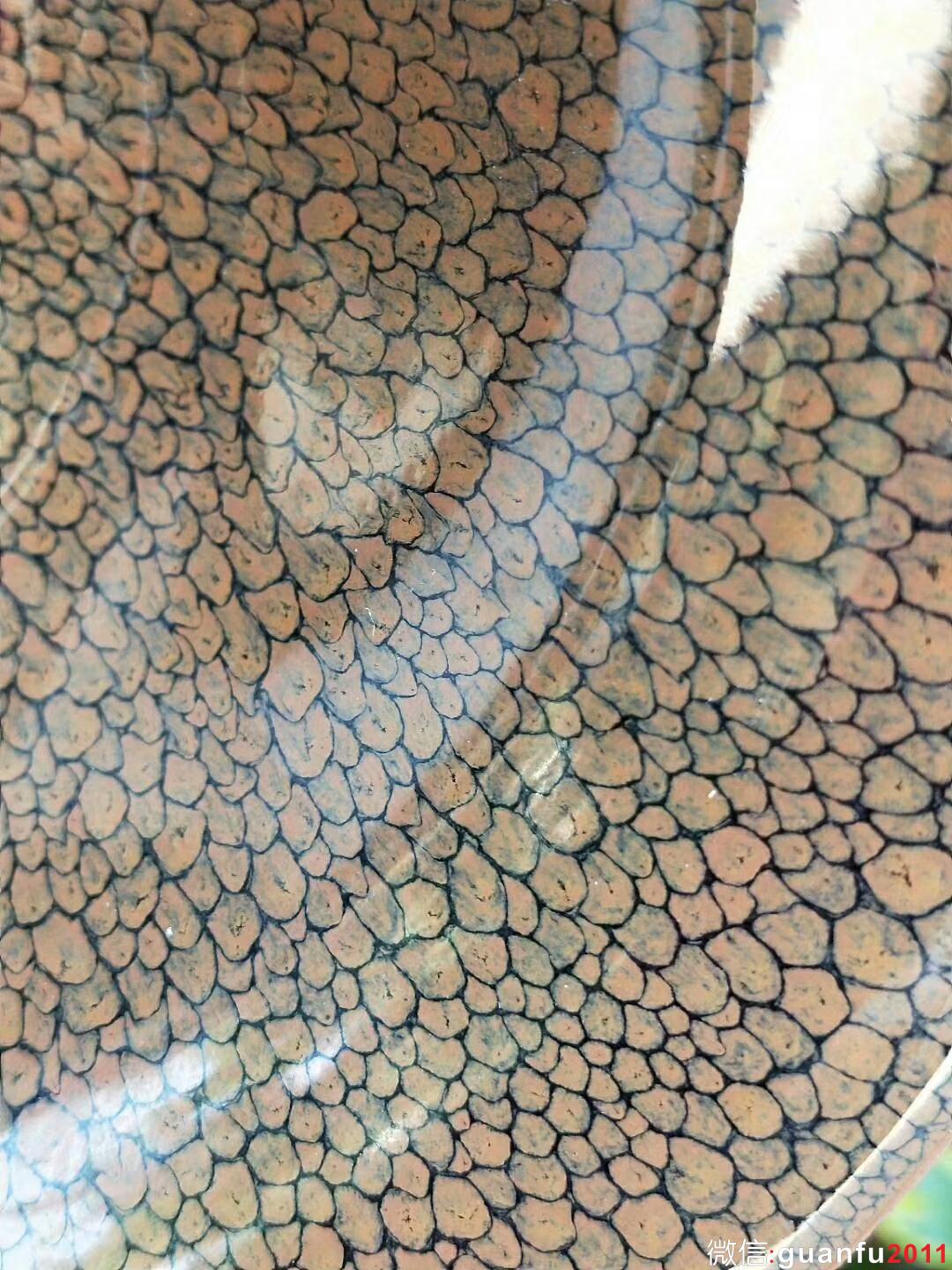 陳大鵬 手刻款“鷓鴣斑”：口徑16*7