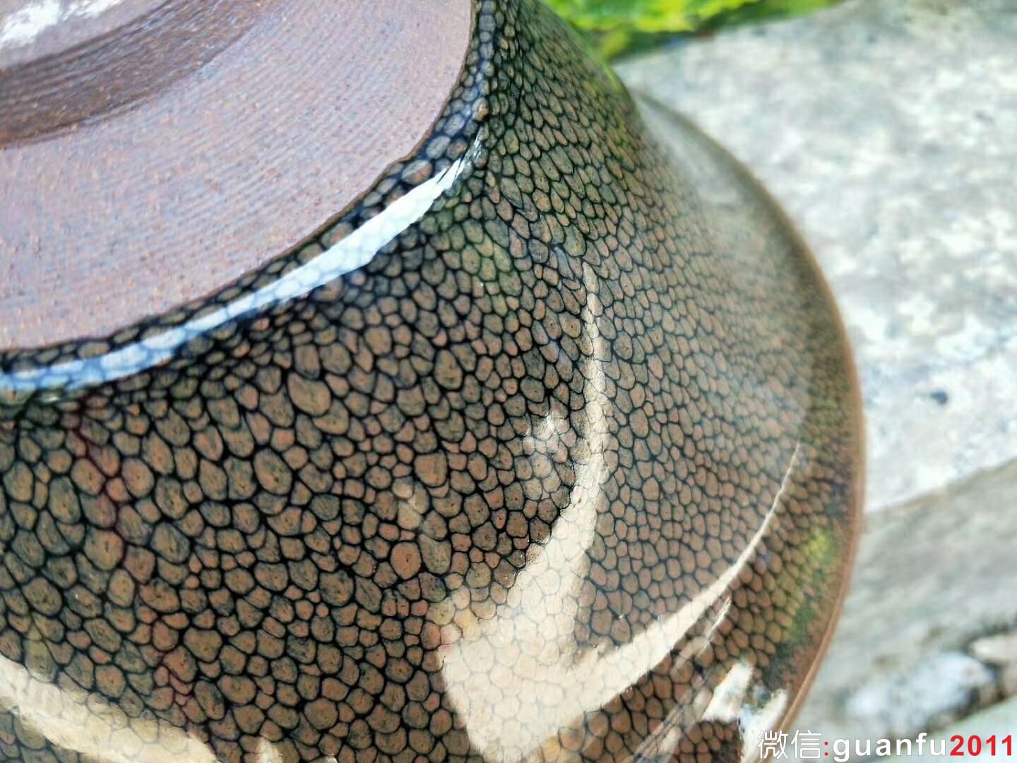 陳大鵬 手刻款“鷓鴣斑”：口徑16*7