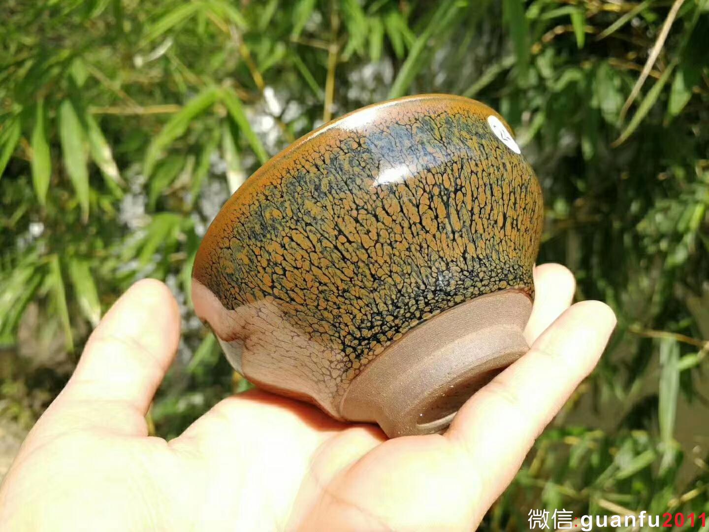 mmexport1523259951530