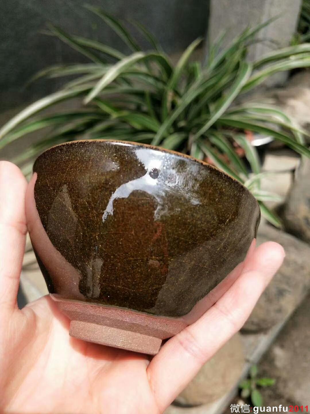 mmexport1523518026009