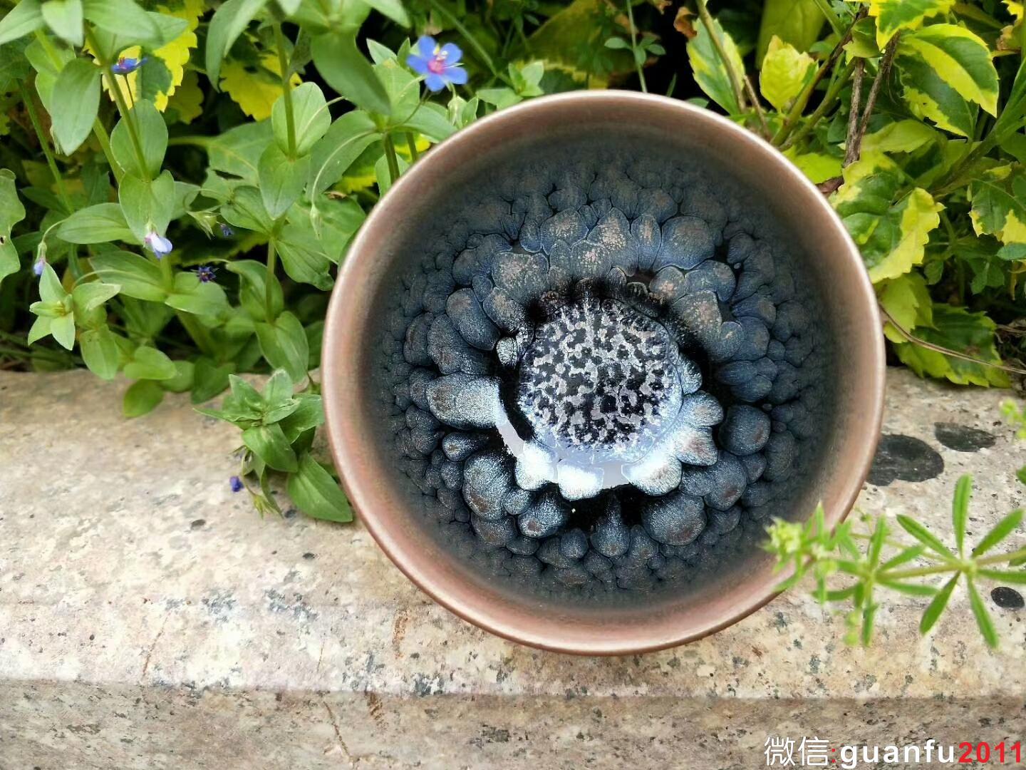 mmexport1523519296984