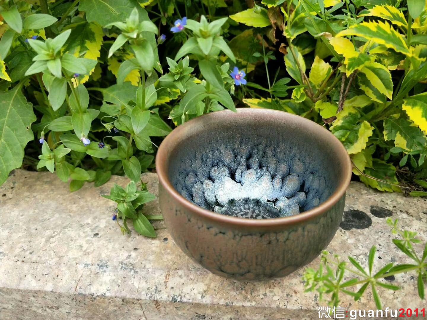 mmexport1523519301802