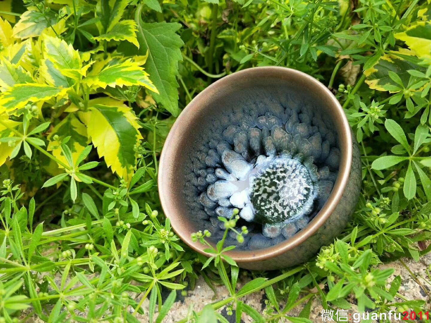 mmexport1523519304488