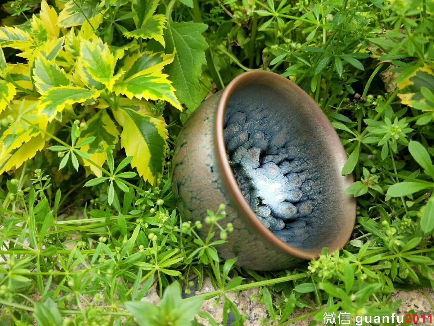 mmexport1523519307411