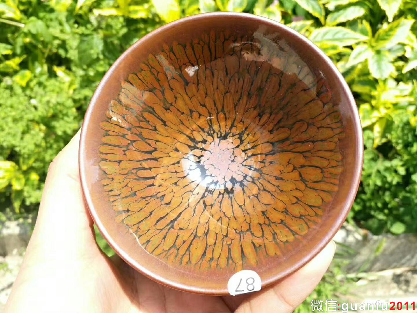 mmexport1523768003912