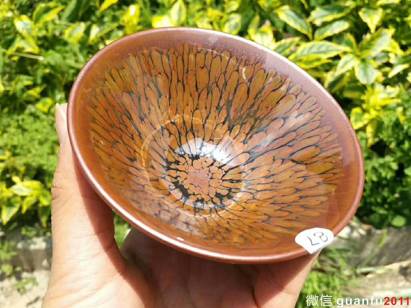 mmexport1523768009548