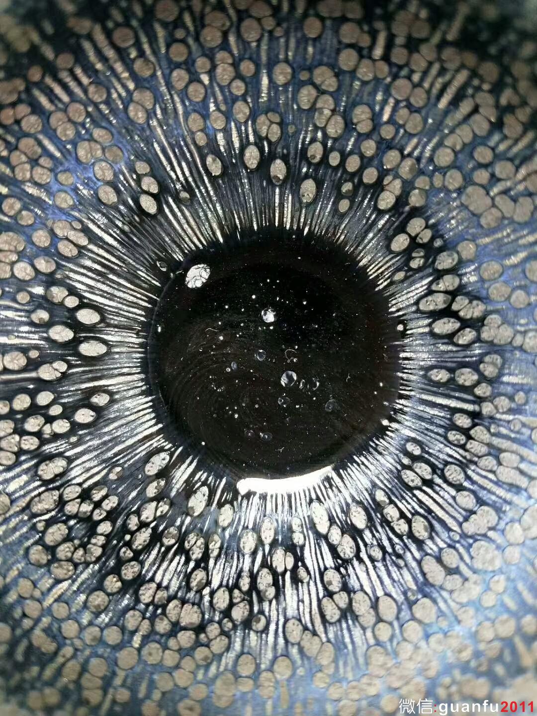 陳慧敏“羽鱗”：口徑8.5*5.5