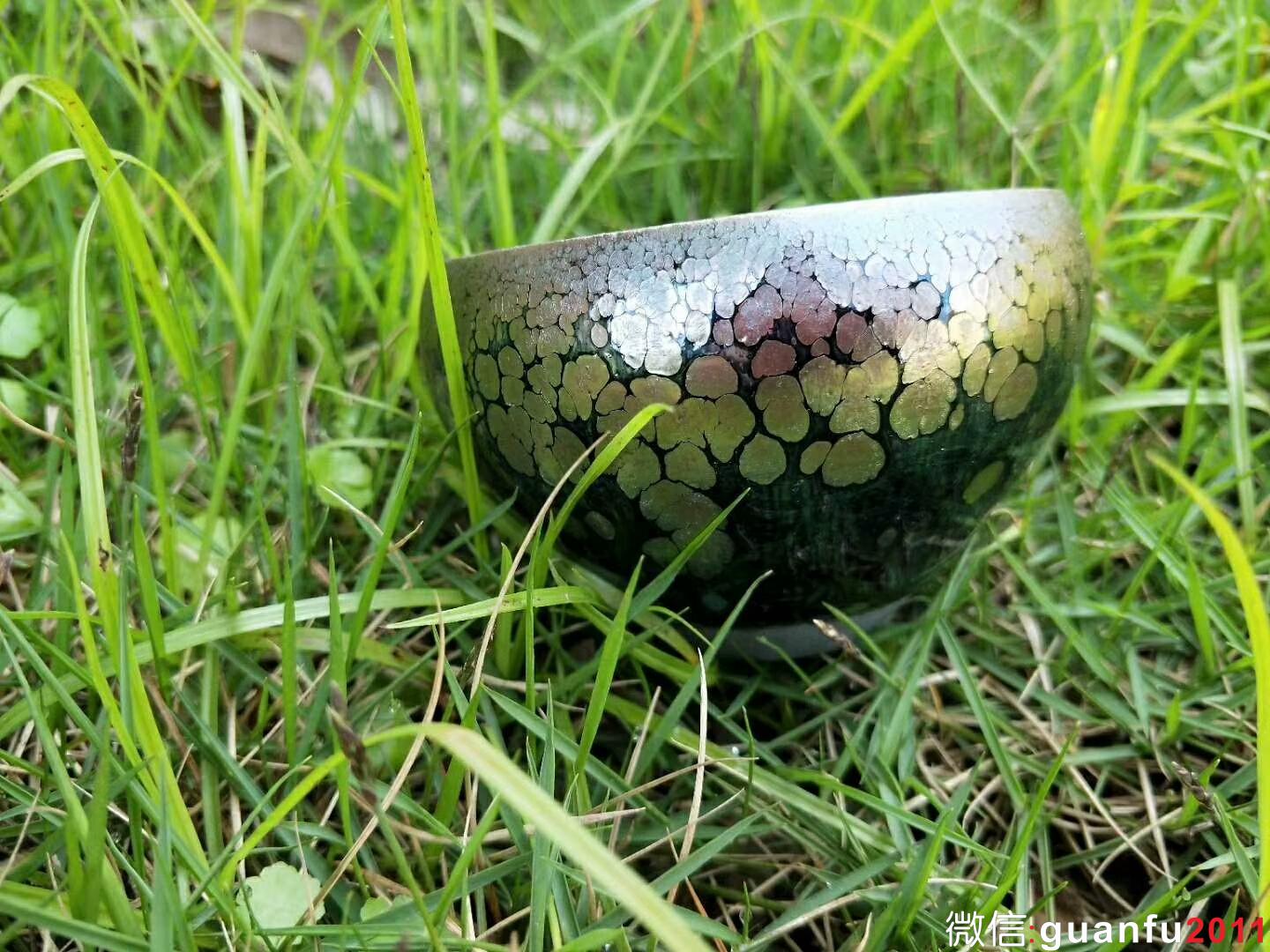 “飛惺”：口徑7.5*5.5