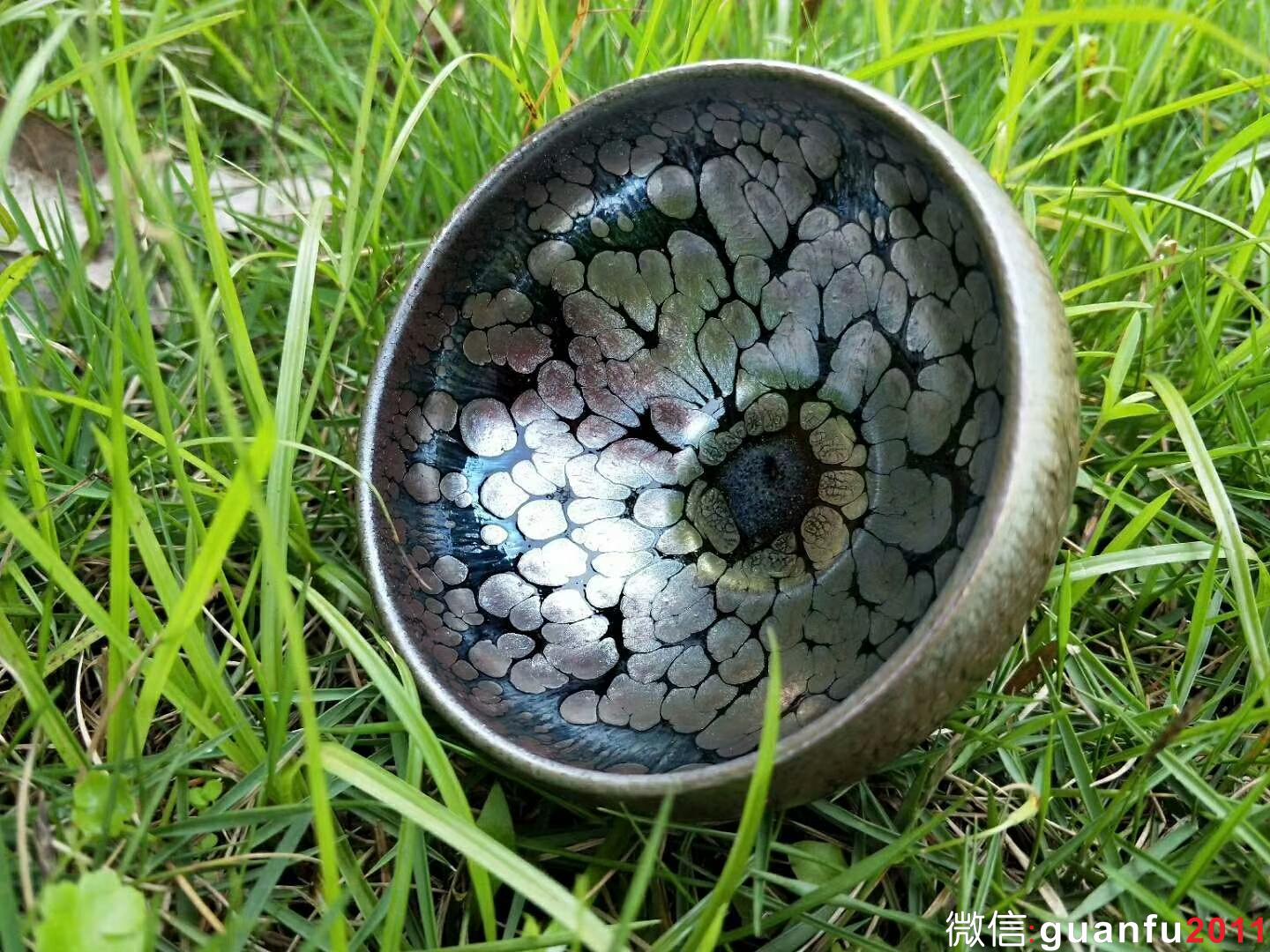 “飛惺”：口徑7.5*5.5